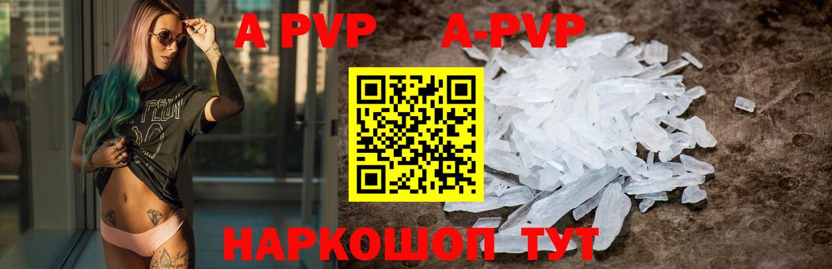 A PVP СК  Альфа ПВП СК КРИС  Баксан  Вход с VPN 