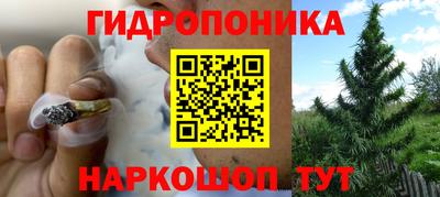 винт Аргун