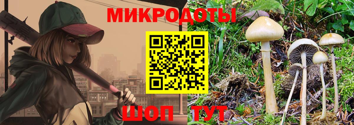 Галлюциногенные грибы прущие грибы Баксан
